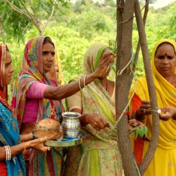 Role of  Grassroot Ecofeminism to overcome social problems and Environment Degradation in an Indian context