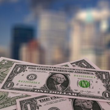 Risks Associated With Issuing Sovereign Bonds in Foreign Currency: Why Government Must Develop Adequate Safeguards Before Selling Sovereign Bonds in Dollar Denominations