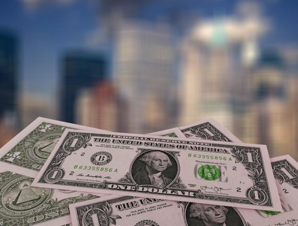 Risks Associated With Issuing Sovereign Bonds in Foreign Currency: Why Government Must Develop Adequate Safeguards Before Selling Sovereign Bonds in Dollar Denominations